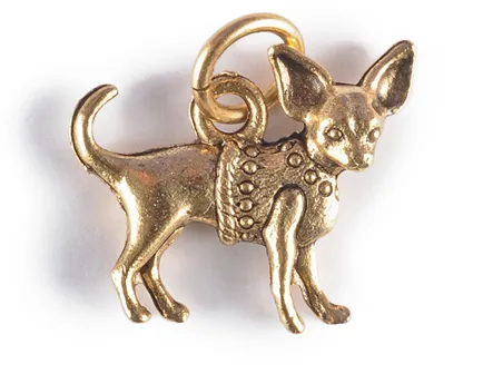 Chihuahua Charm