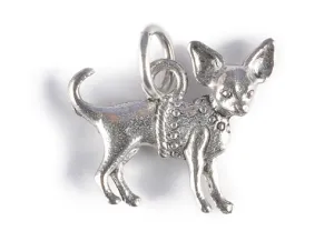 Chihuahua Charm