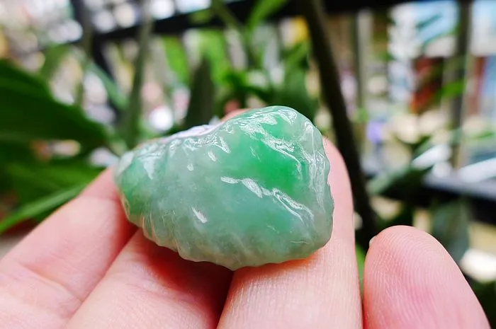 Natural Jade Rough Jadeite Raw (13g,3.8x2.3x1.05cm)