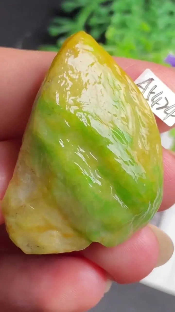 Natural Jade Rough Jadeite Raw (14g,37X29X9.5mm)-A5424