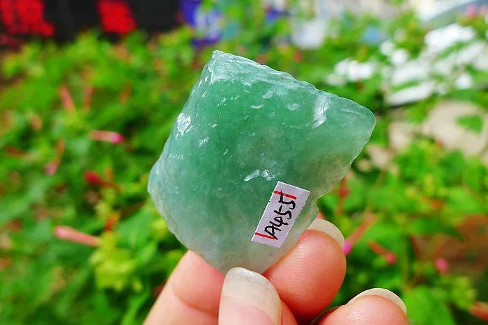 Natural Jade Rough Jadeite Raw (16g,3.9X2.8X0.75cm)