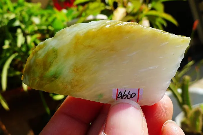 Natural Jade Rough Jadeite Raw (38g,5.9X3.1X0.9cm)