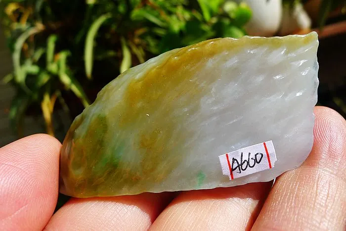 Natural Jade Rough Jadeite Raw (38g,5.9X3.1X0.9cm)