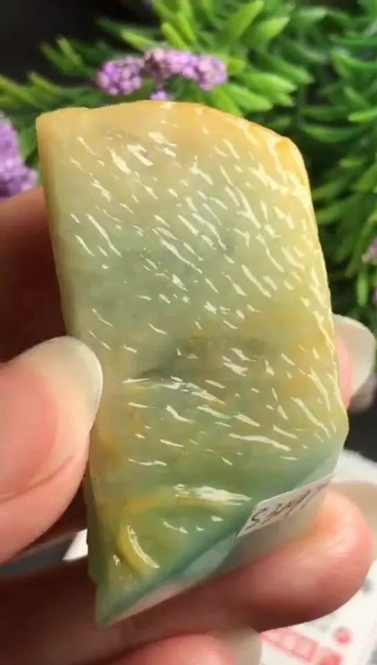 Natural Jade Rough Jadeite Raw (4.4x2.6x1.8cm)-S3197