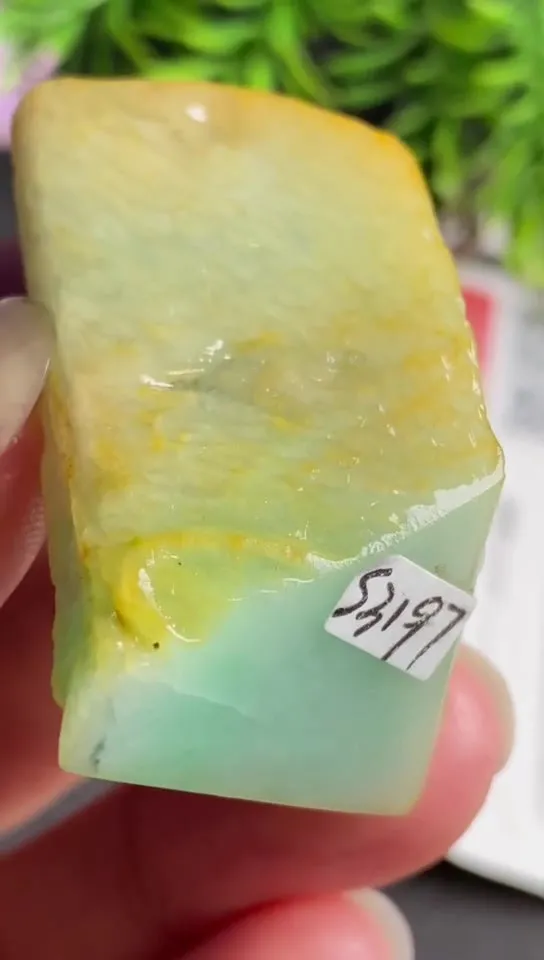 Natural Jade Rough Jadeite Raw (4.5x2.7X1.8cm)-S3197