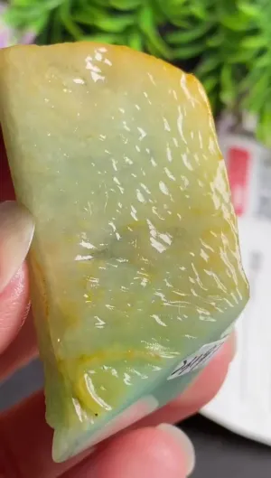 Natural Jade Rough Jadeite Raw (4.5x2.7X1.8cm)-S3197