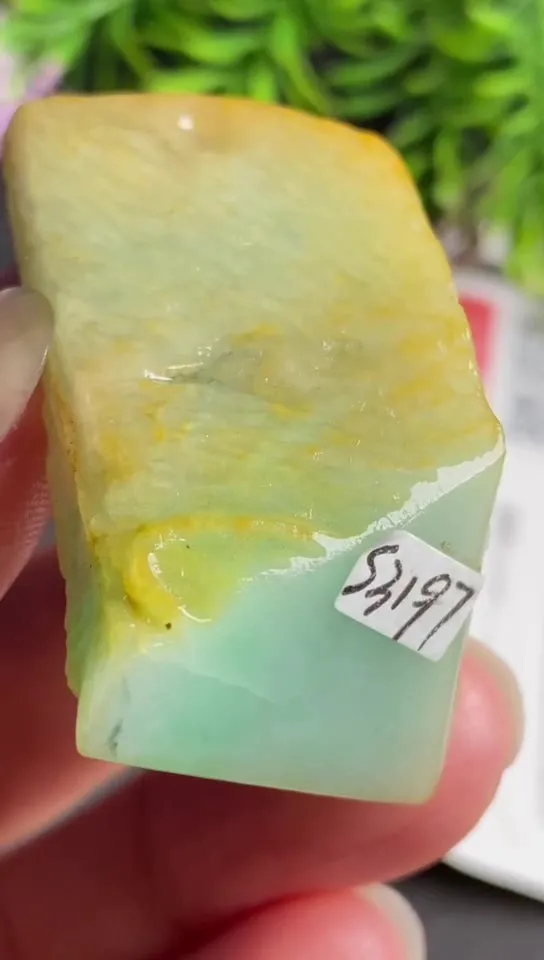 Natural Jade Rough Jadeite Raw (4.5x2.7X1.8cm)-S3197