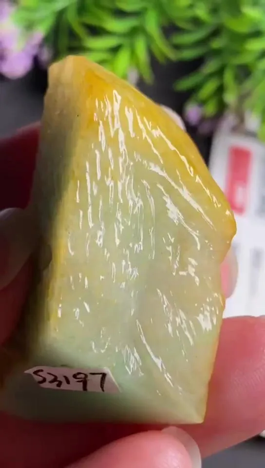 Natural Jade Rough Jadeite Raw (4.5x2.7X1.8cm)-S3197