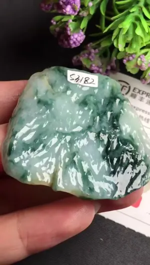Natural Jade Rough Jadeite Raw (4.6x4.4x0.7cm)-S3182