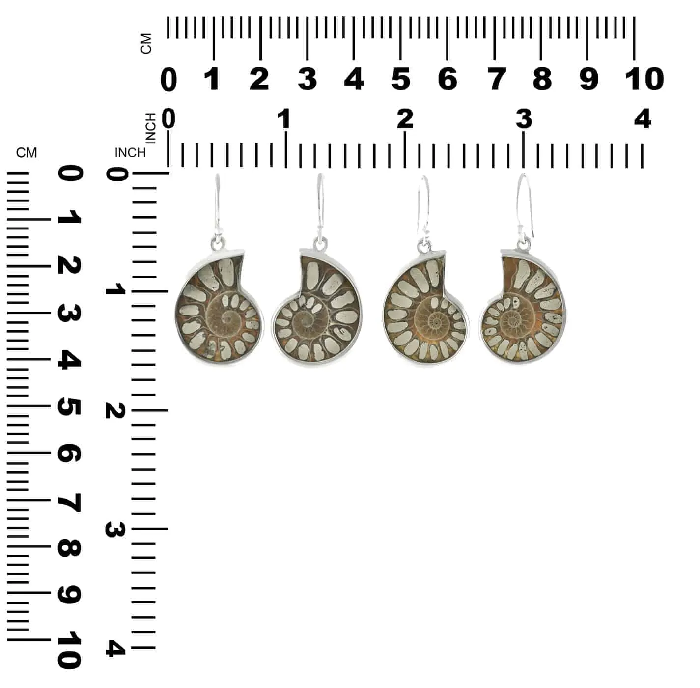 Starborn Ammonite with Pyrite Inlay Earrings in Sterling Silver, Bezel Set