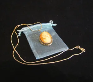 Sterling Silver Carved Shell Cameo Necklace & Brooch Vintage 1930s Victorian Pin Pendant