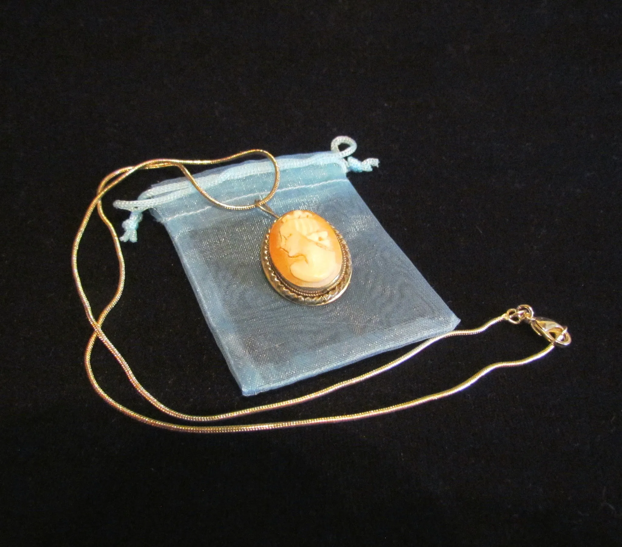 Sterling Silver Carved Shell Cameo Necklace & Brooch Vintage 1930s Victorian Pin Pendant