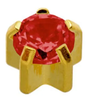 UK Sterile Earrings Ruby Clawset